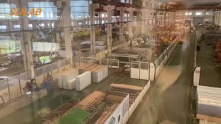 Reibungslose Fahrt mit Aufzugsrollenführungsschuhen