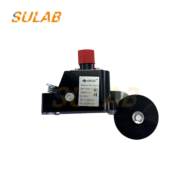 CR137-BZ-T2 Heavy-Duty Limit Switch with IP67 Rating, 2×SPDT Snap-Action Contacts and Steel Roller Lever